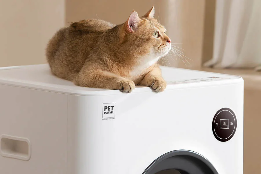 best litter box for two cats